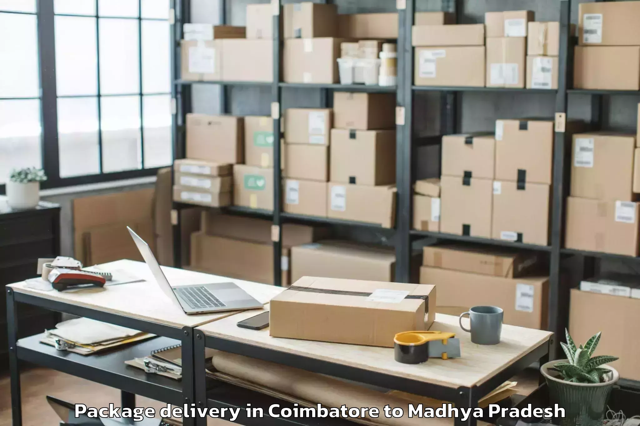 Top Coimbatore to Buxwaha Package Delivery Available